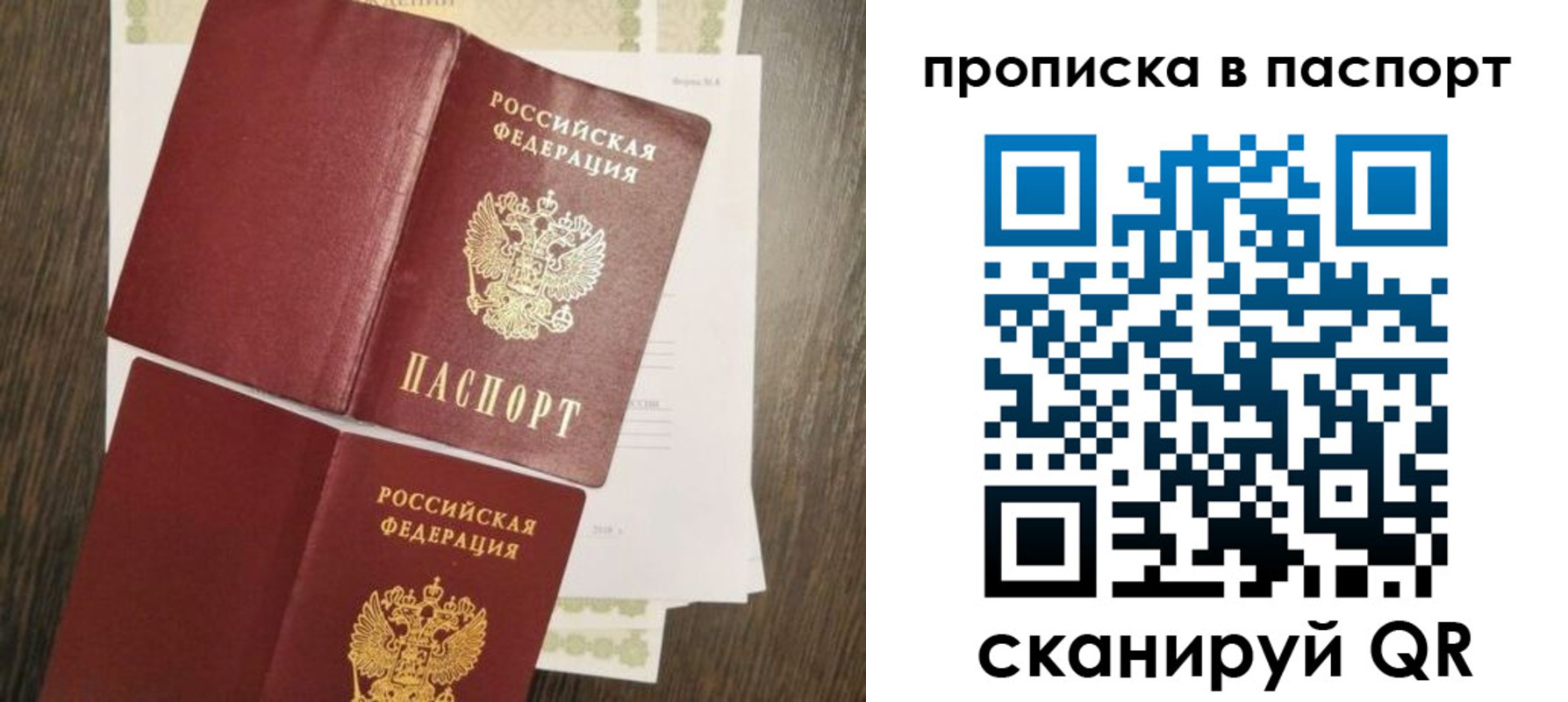 прописка гарантия в Камчатской области