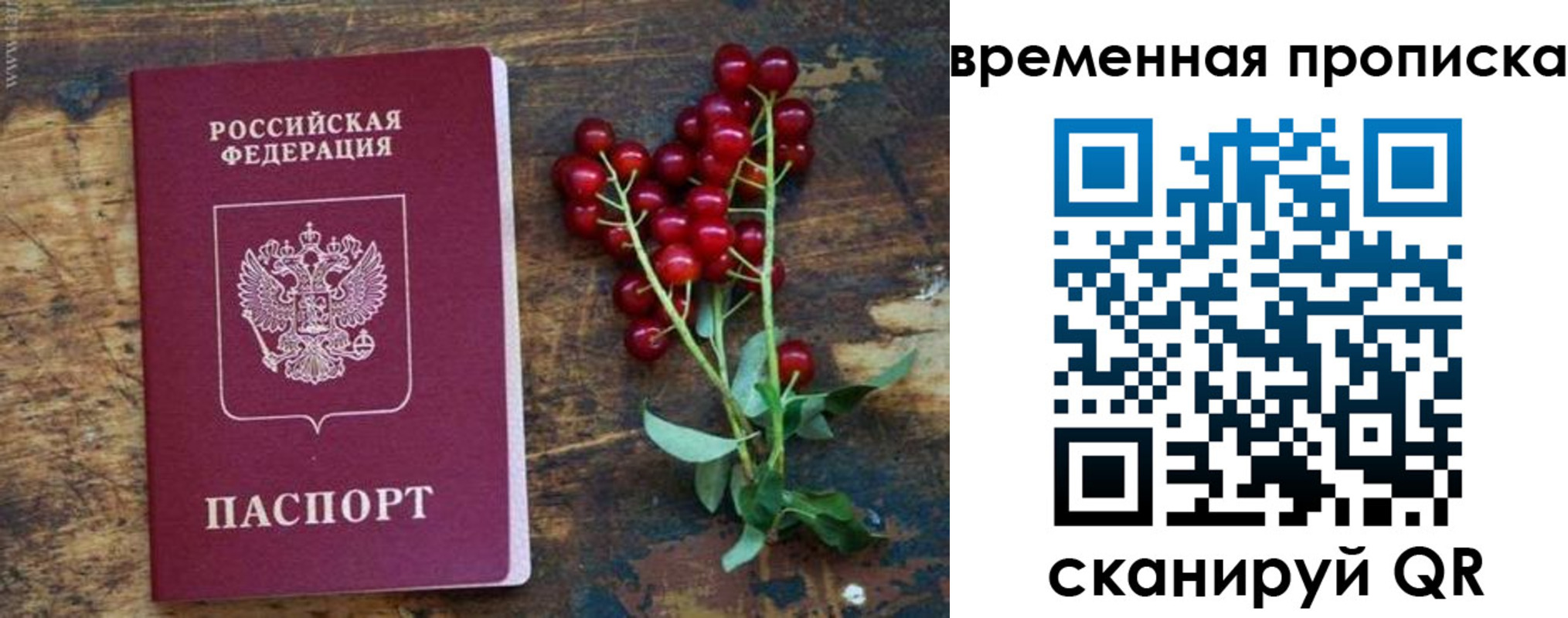временная регистрация гарантия в Камчатской области
